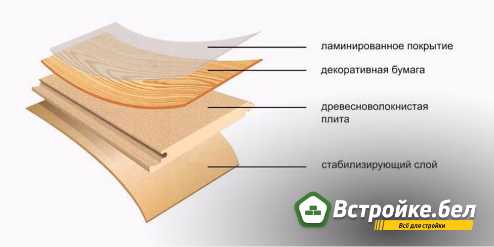 Особенности строения.jpg
